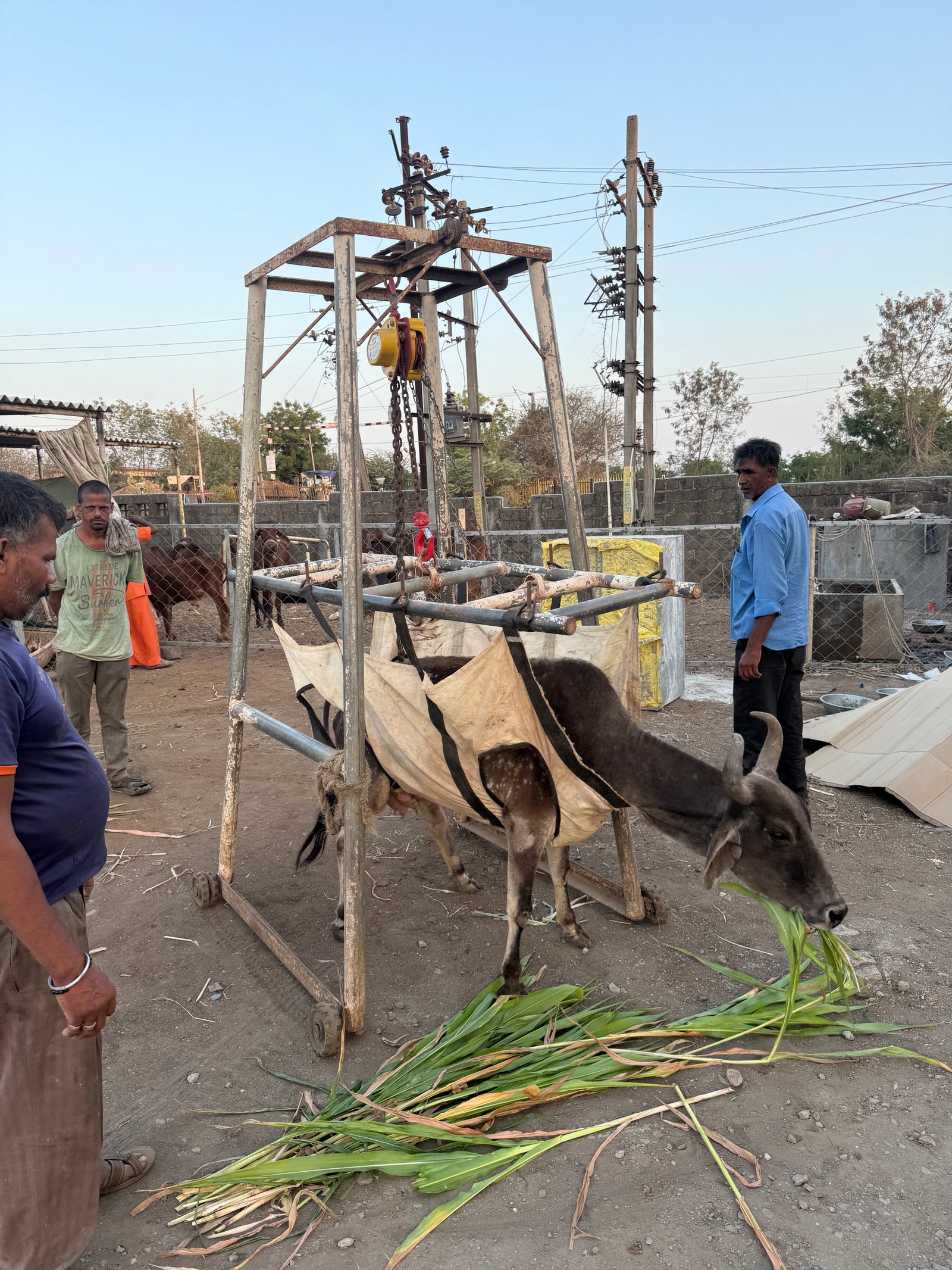 મેડિકલ કેમ્પ