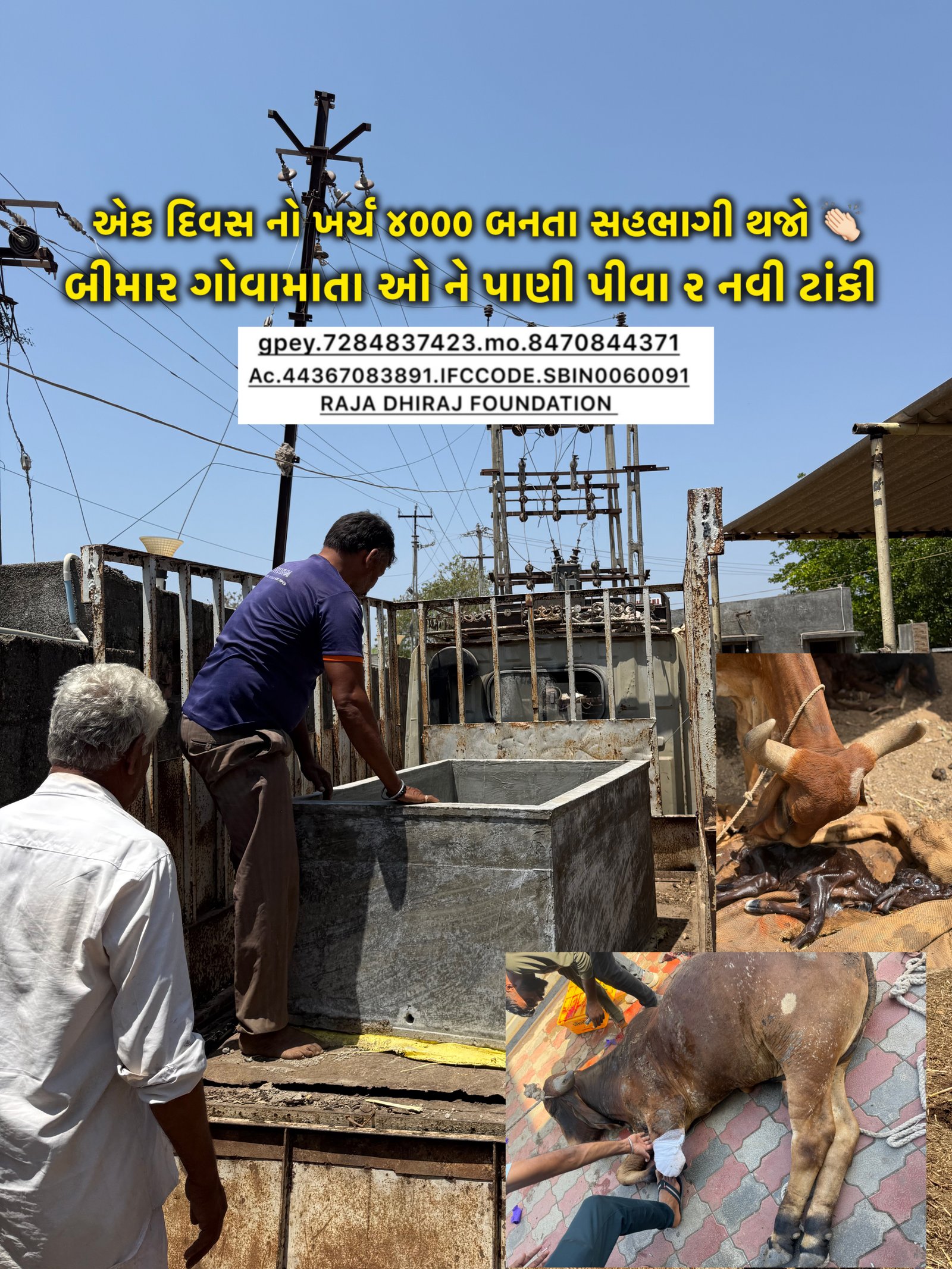 અમારી ગૌશાળા અને ગૌસેવા