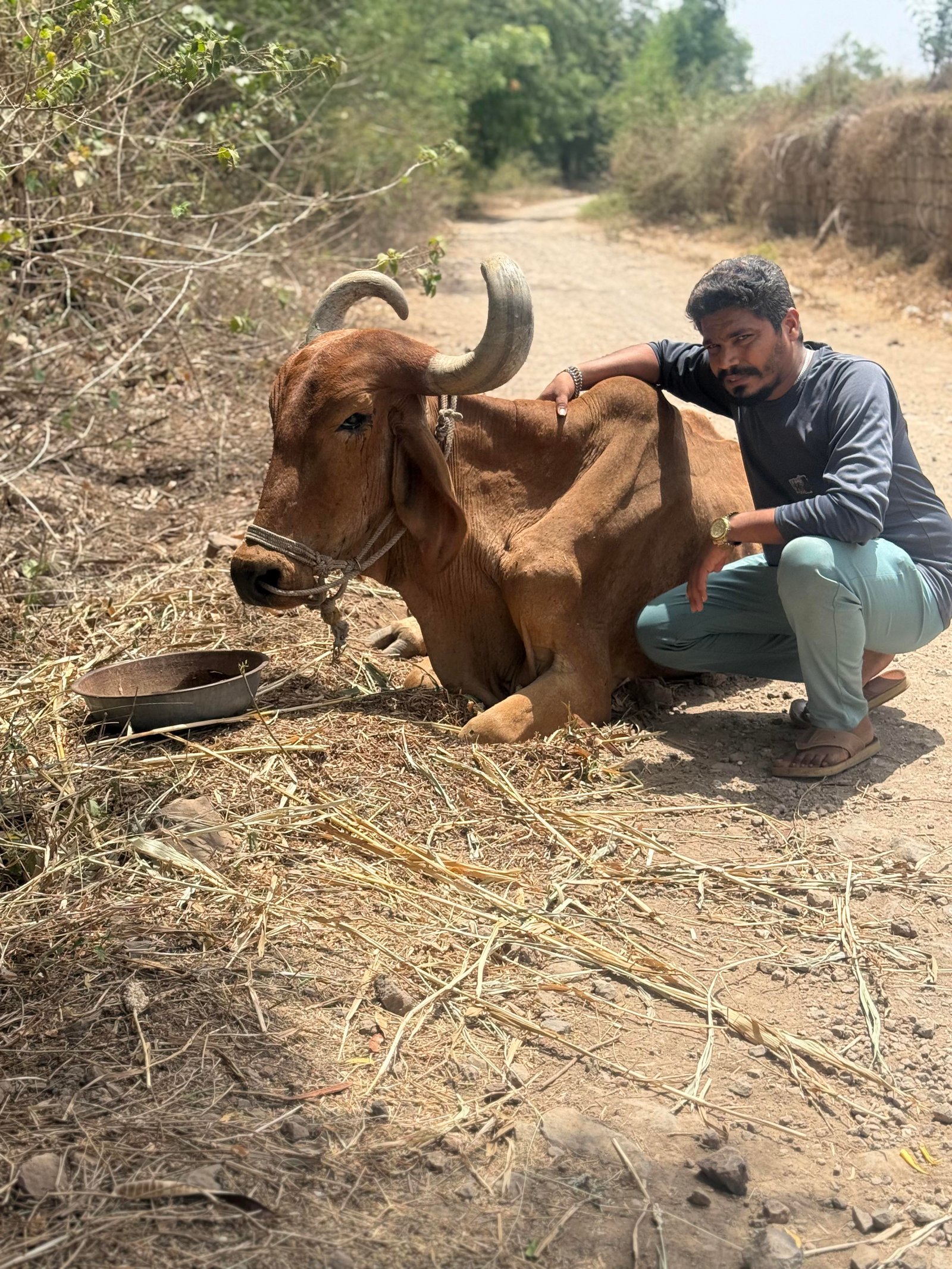 અમારી ગૌશાળા અને ગૌસેવા