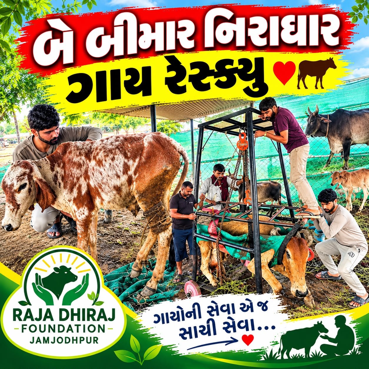 ગાય માતા ની સેવા | રેસ્ક્યું