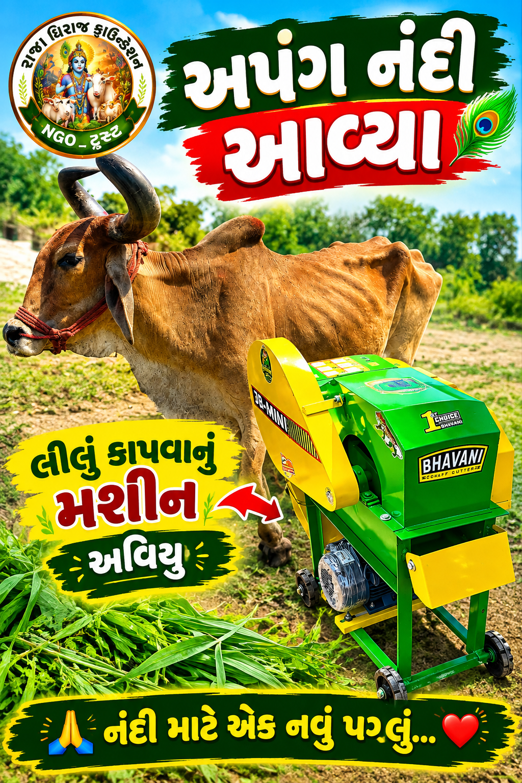 અમારી ગૌશાળા અને ગૌસેવા