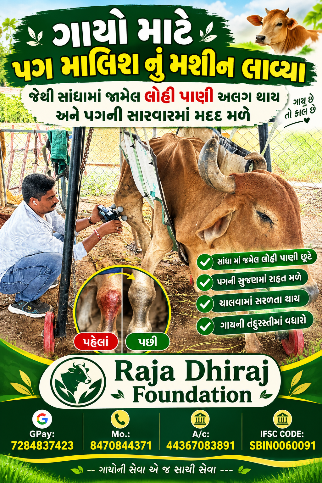 અમારી ગૌશાળા અને ગૌસેવા